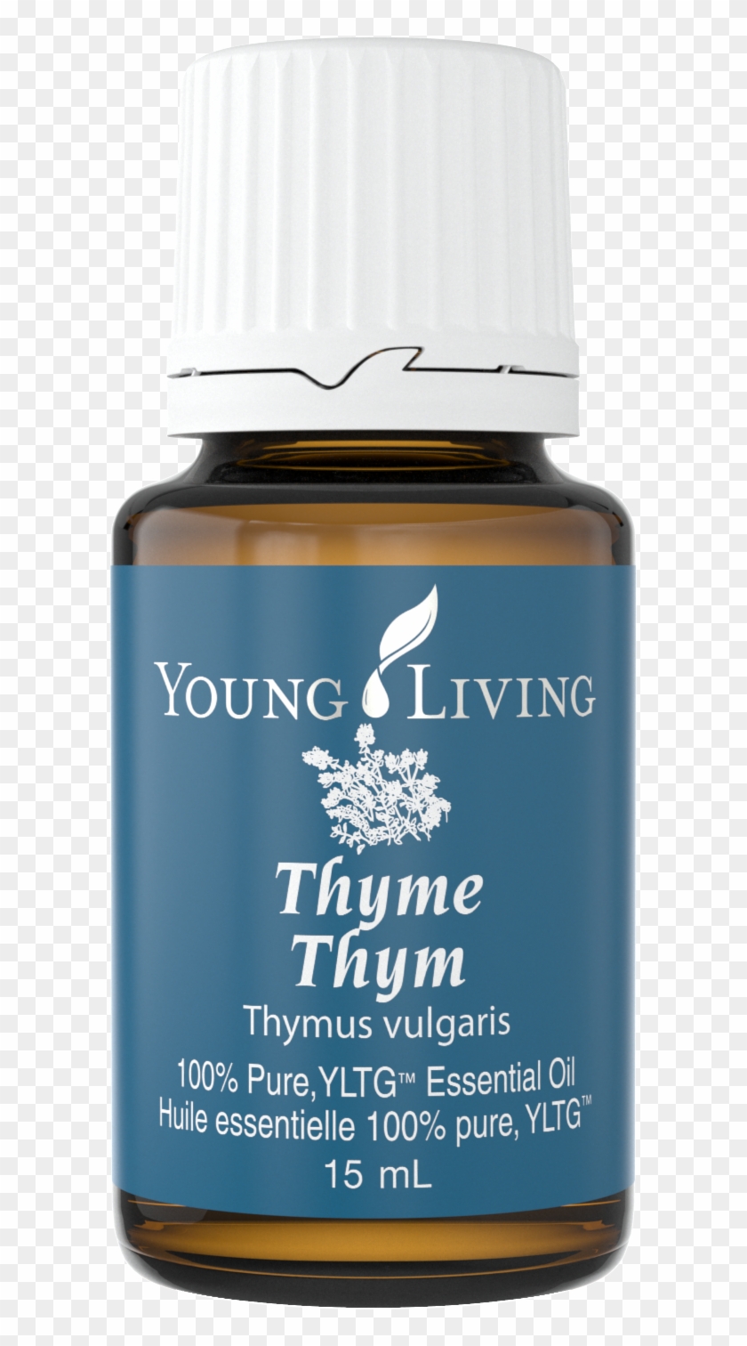 Thyme - Horse Clipart