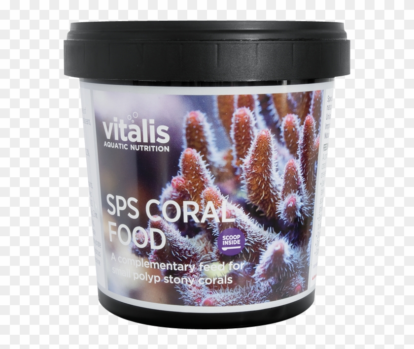 Sps Coral Food Pa - Stony Coral Clipart #5329221
