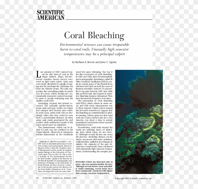 Pdf - Marine Biology Clipart