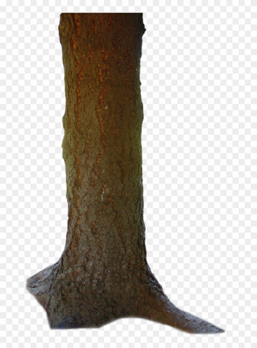 Tronco Png - Wood Clipart