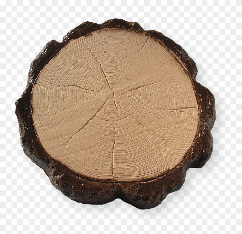 Troncos Bicolor - Tree Stump Clipart