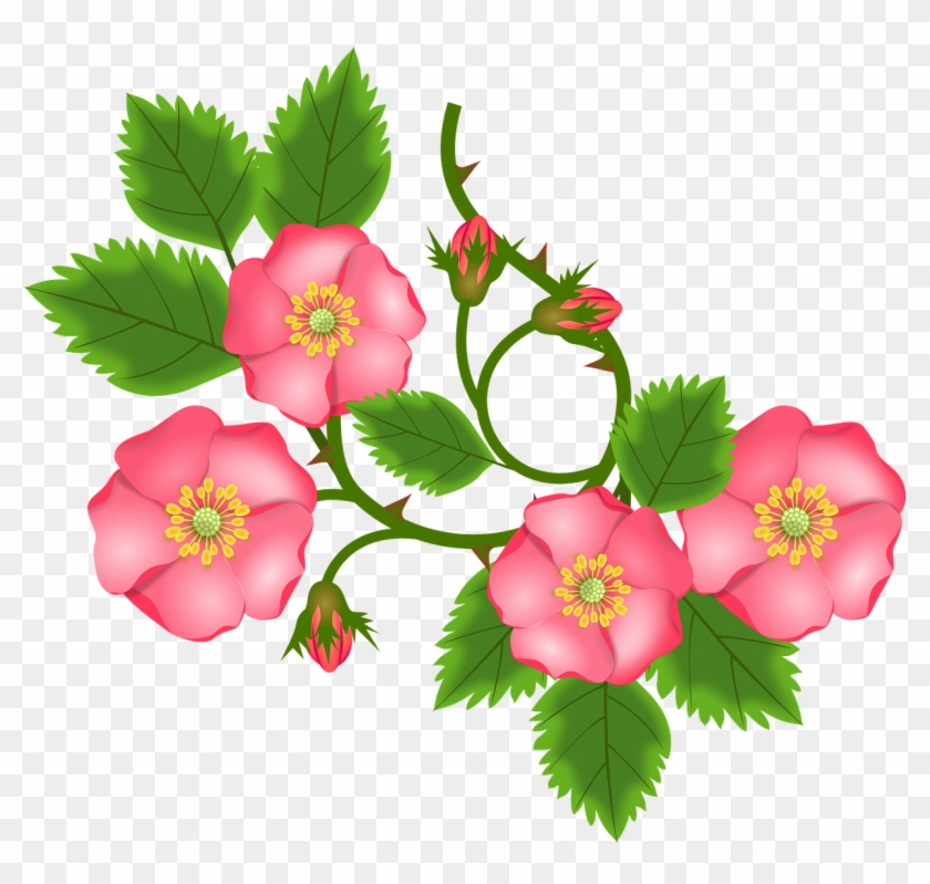 Rose Tendril Bush Rose Entwine - Sulur Bunga Png Clipart