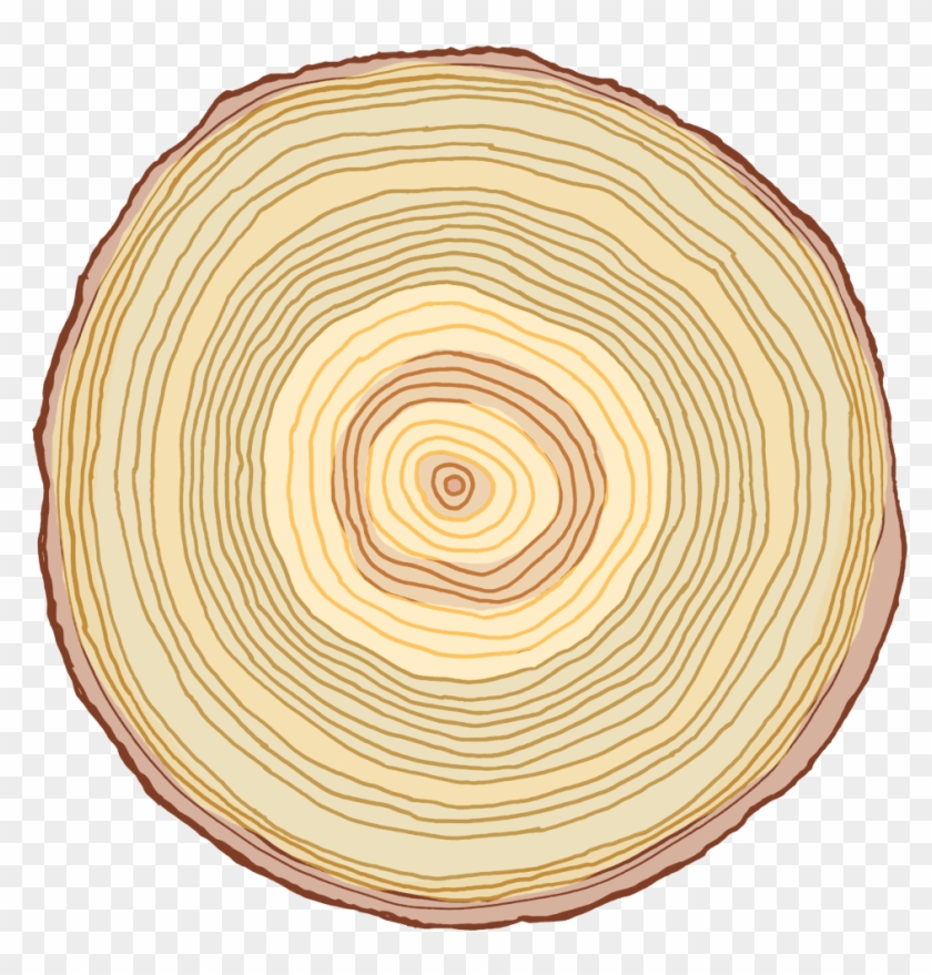 Circle Clipart #5330947