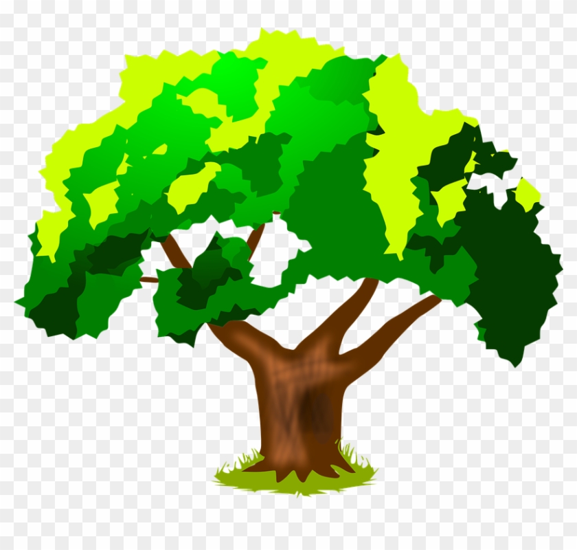 Planta, Árvore, Verde, Tronco, Folhas, Primavera, Verão - Harwood Park Primary School Clipart #5332297