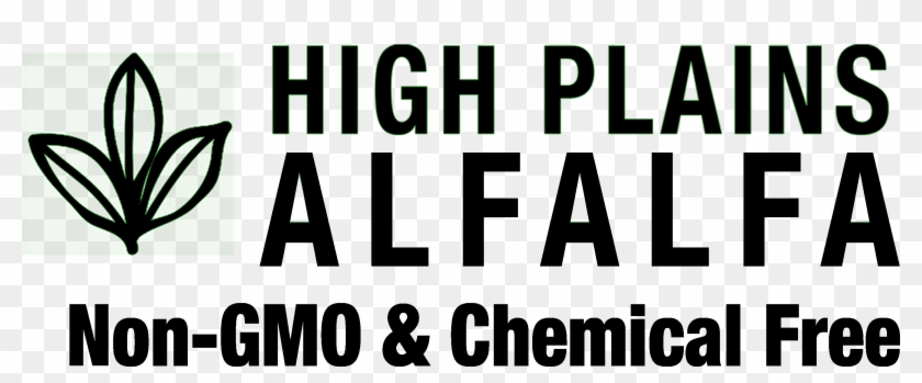 Elite - Calligraphy Clipart