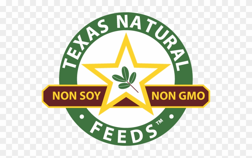 Emblem Clipart #5332782