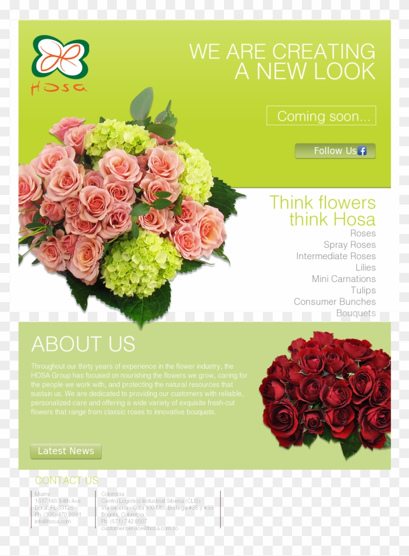 Garden Roses Clipart #5333283