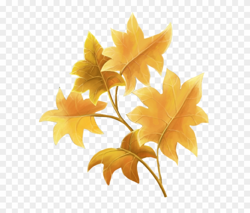 Hojas De Otoño - Folhas Laranja Png Clipart #5334326