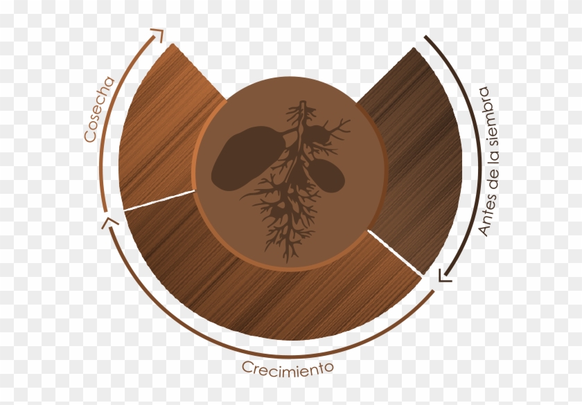 De La Papa - Circle Clipart
