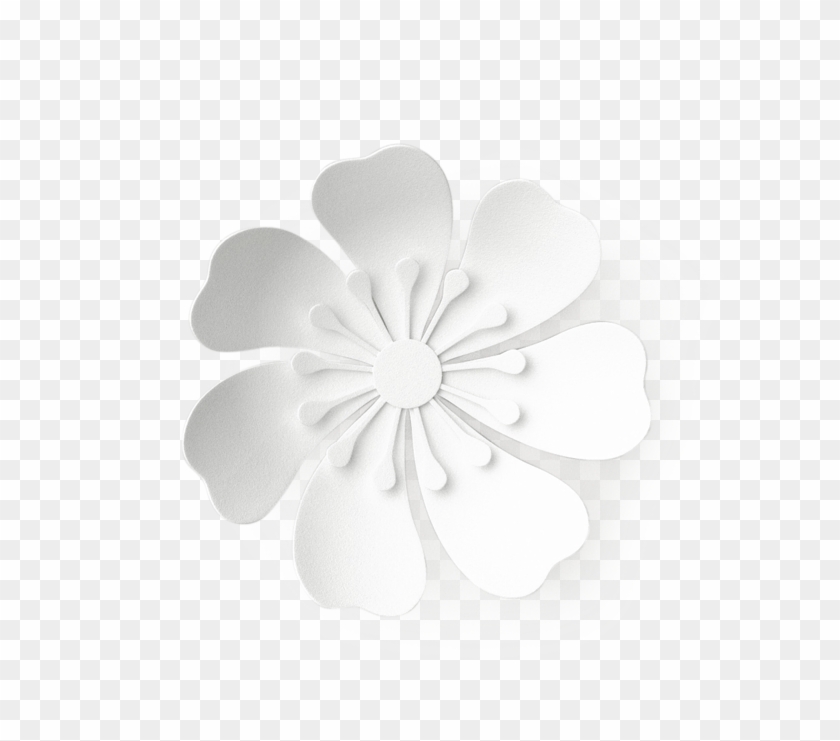 Contáctanos Para Presupuestos Personalizados Y Cualquier - Still Life Photography Clipart