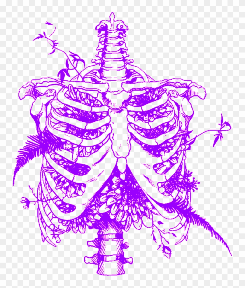 #aesthetic #skull #skeleton #ribcage #ribs #flowers - Rib Cage Drawing Clipart