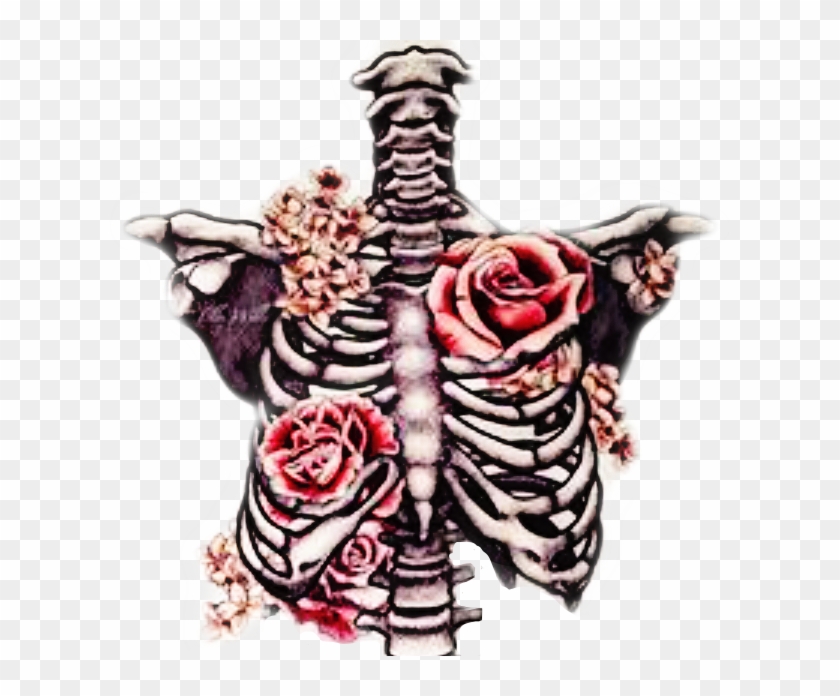 #freetoedit #ribcage #bones #roses #beautifuldeath - Lungs With Flowers Drawing Clipart