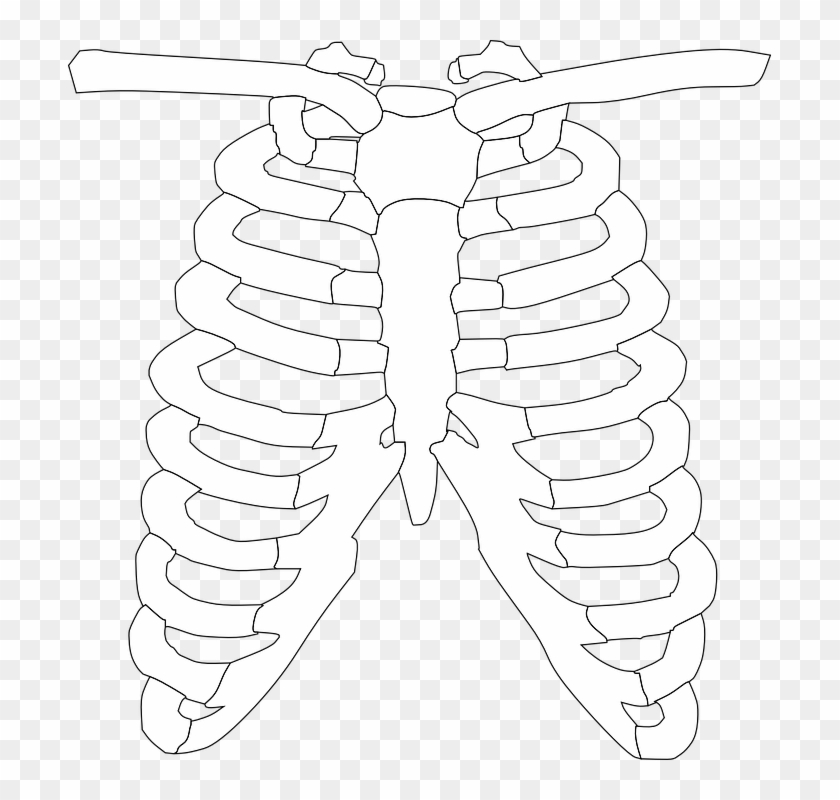 Rib Cage 296377 960 720 Chronic Illness, Chronic - Rib Clipart Black And White - Png Download