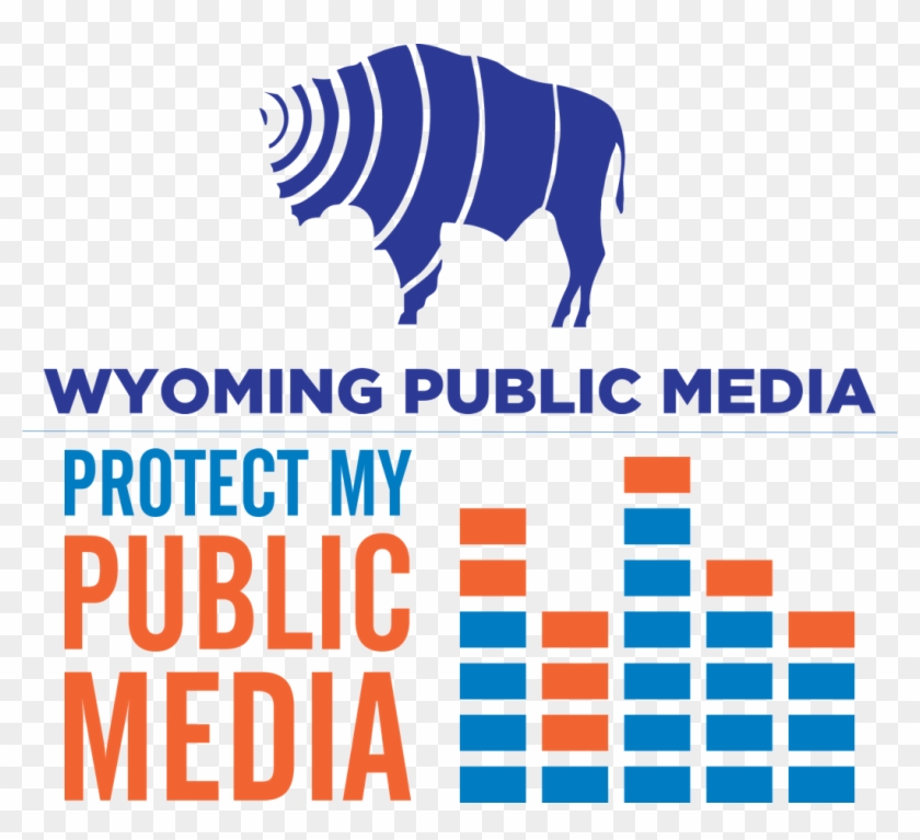 With A New Administration And Congress, Changes Are - Protect My Public Media Logo Clipart