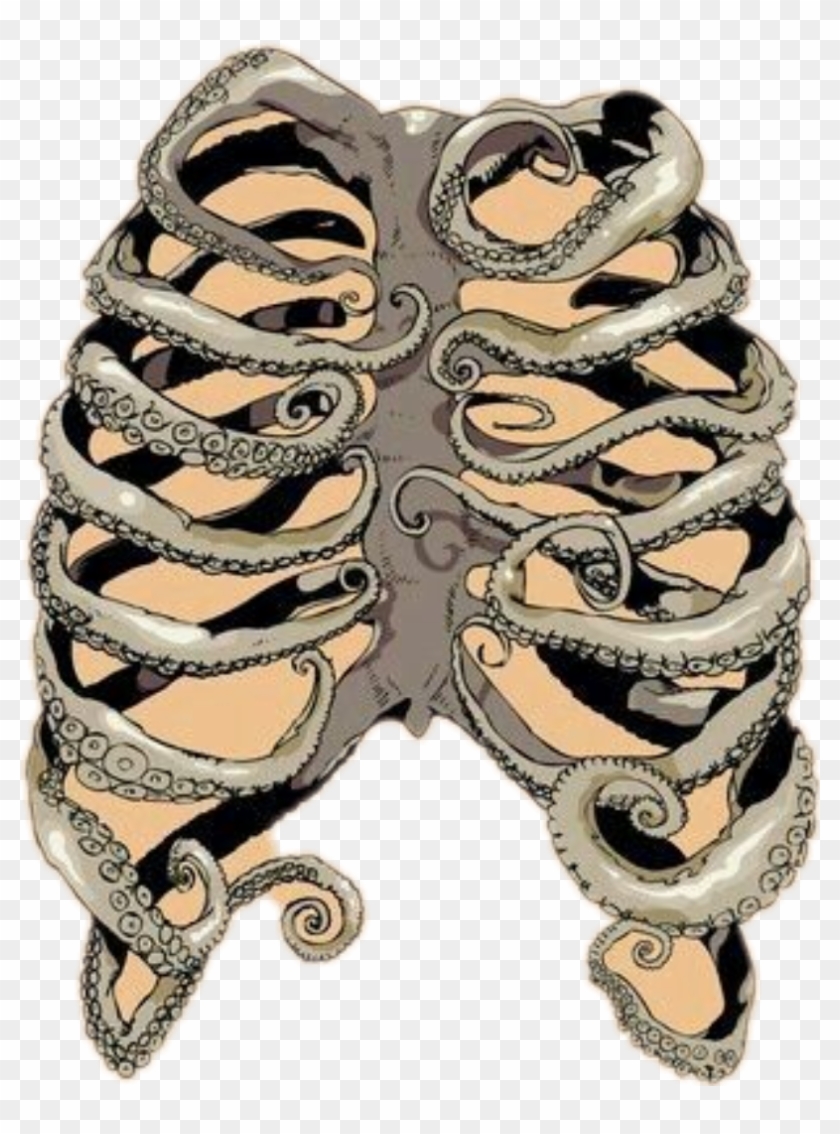 #art #bones #ribcage #tentacles #stickers - Octopus Rib Cage Clipart