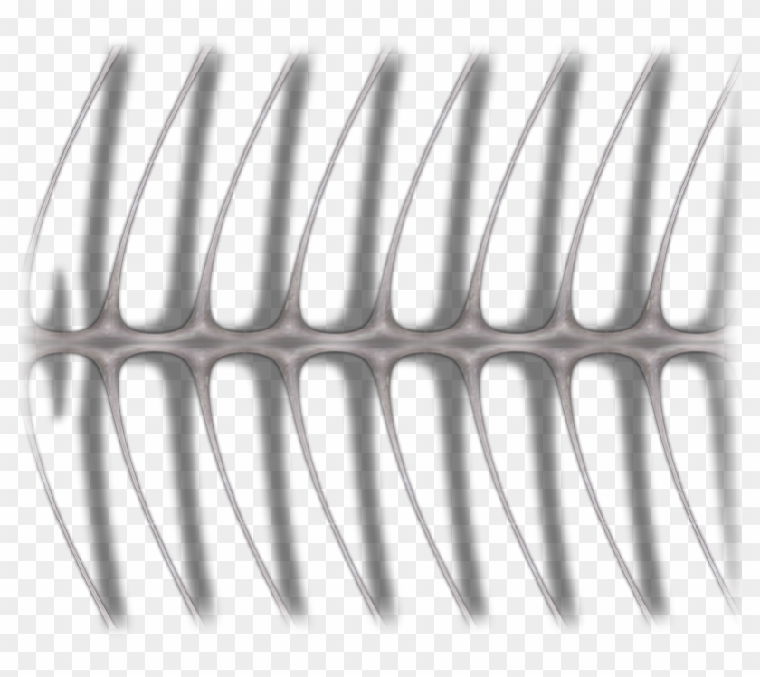 Forums - Fence Clipart