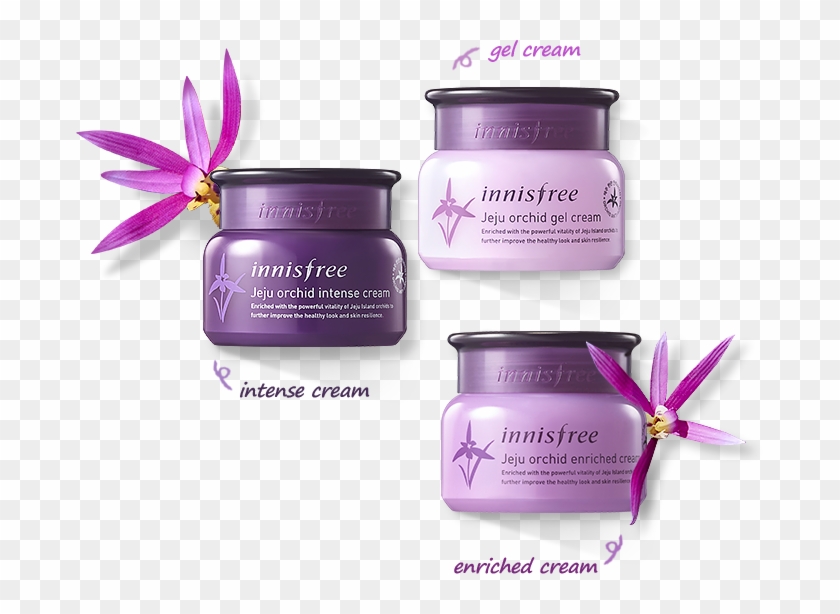 Innisfree Malaysia - Innisfree Jeju Orchid Enriched Cream 50ml Clipart #5339957