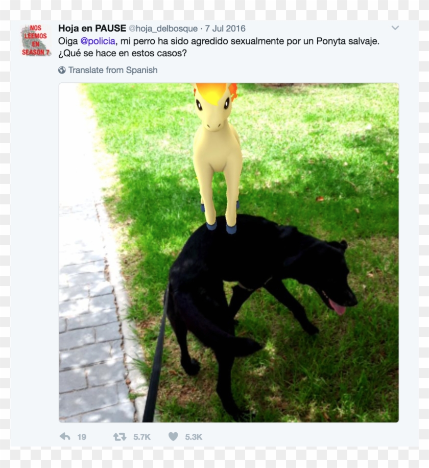 Public Administrators, Social Media And The Legitimacy - Policias Nacionales Con Perros Clipart #5340760