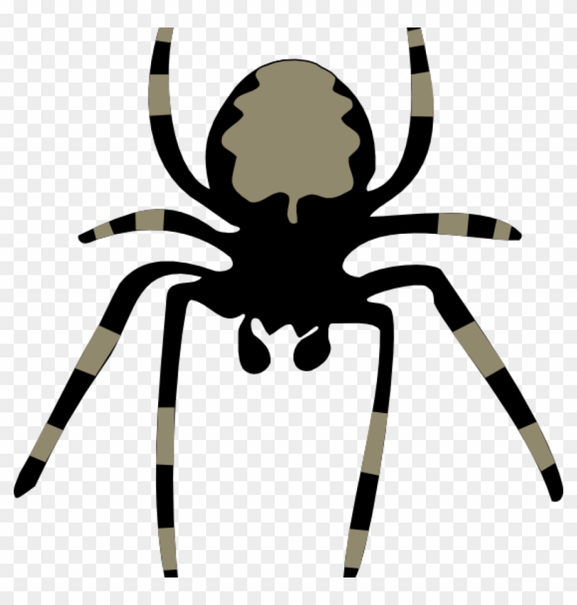 Png Freeuse Library Free At Getdrawings Com For Personal - Spider Cliparts Transparent Png #5342153