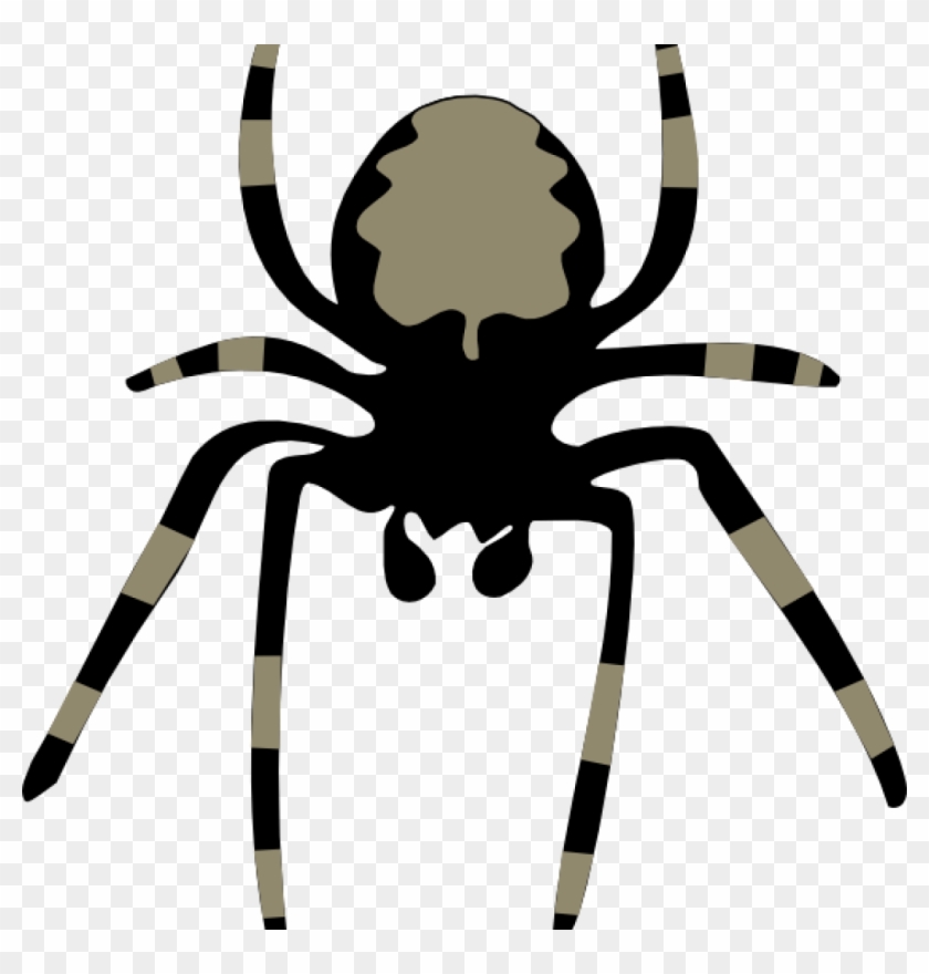Png Freeuse Library Free At Getdrawings Com For Personal - Spider Cliparts Transparent Png