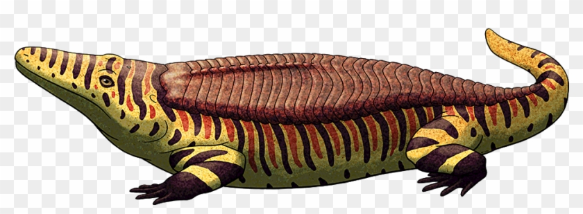 Crocodilian Like Armor Is Known To Have Evolved Naturally - Amphibians Clipart #5343022