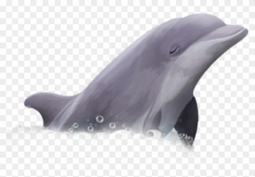 #golfinho #peixe - Common Bottlenose Dolphin Clipart #5344912