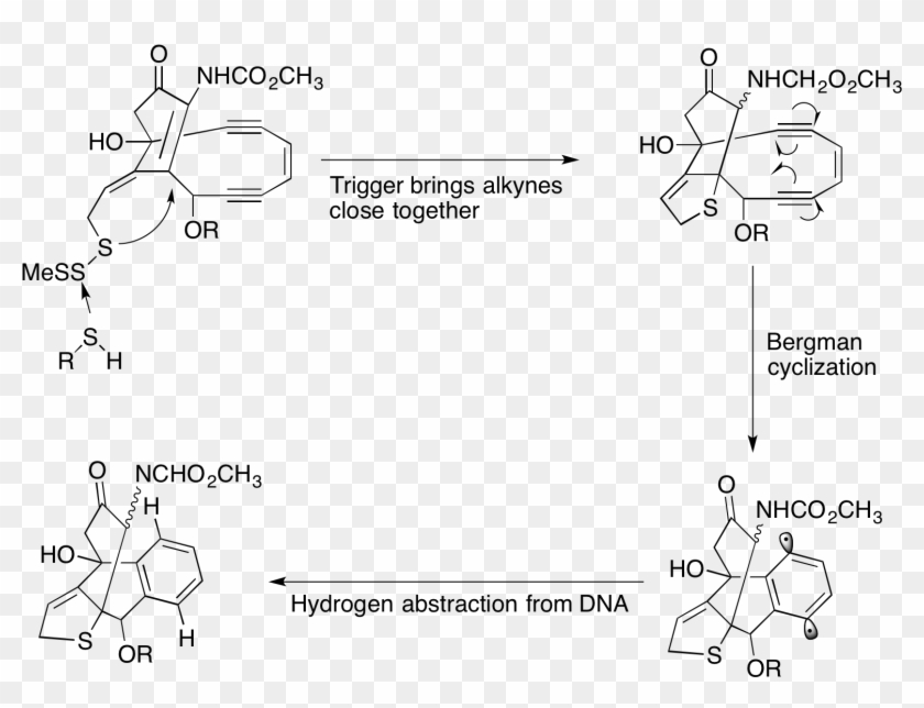 Calicheamicin Cleavage Of Dna - Calicheamicin Mechanism Of Action Clipart #5345712