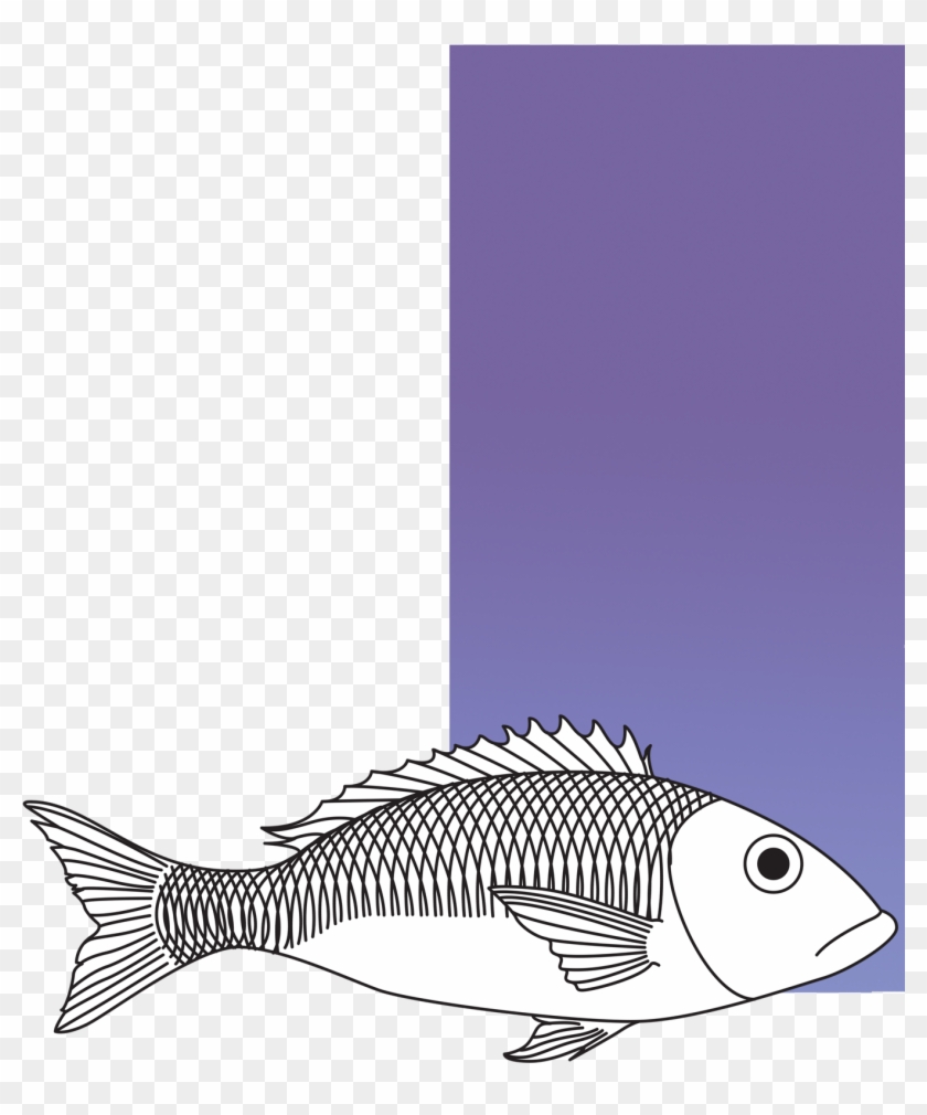 Peixe-texto - Perch Clipart