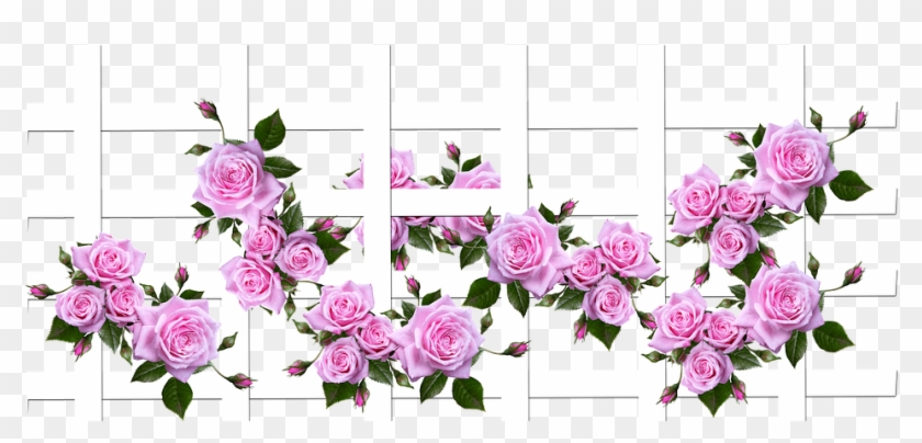 Roses Flowers Trellis Garden Nature - Teralis Taman Bunga Clipart #5347823