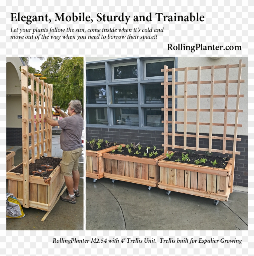 Trellises For Rolling Planters Strong Designed And - Rolling Planters Clipart #5347971