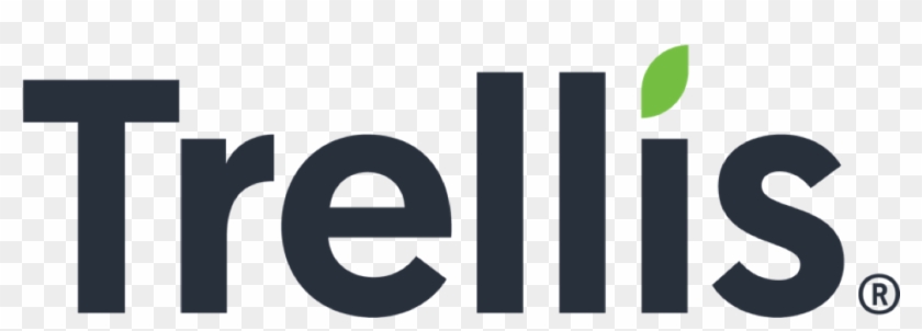 Graphic Design Clipart