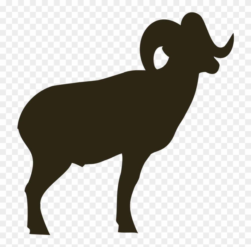 Pick A Species To View Success Photos - Silhouette Mountain Sheep Clipart