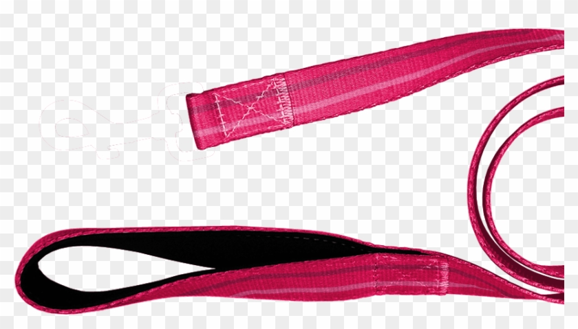 Pink Leash - Carmine Clipart #5350102