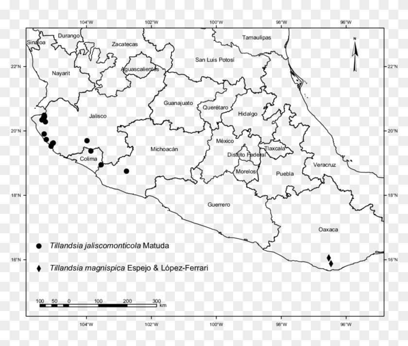 Distribution Map Of Tillandsia Magnispica Espejo & - Region Centro De Mexico Clipart #5351214
