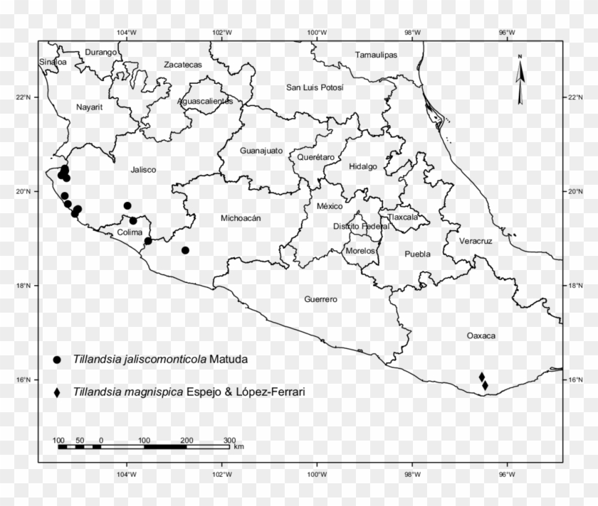 Distribution Map Of Tillandsia Magnispica Espejo & - Region Centro De Mexico Clipart