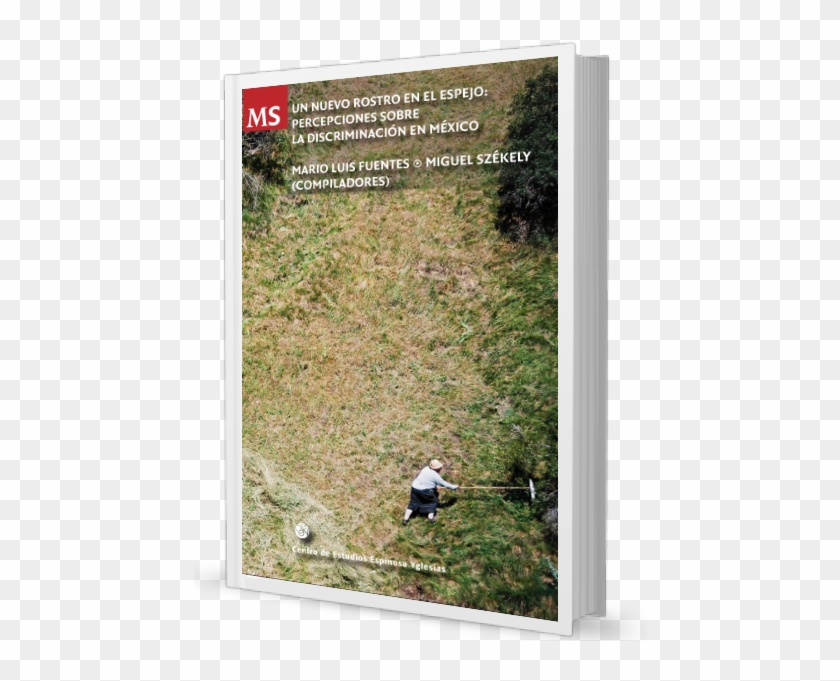 Un Nuevo Rostro En El Espejo - Grass Clipart #5351320