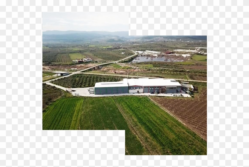 We Will Continue To Bring Our Products Blended With - Aerial Photography Clipart