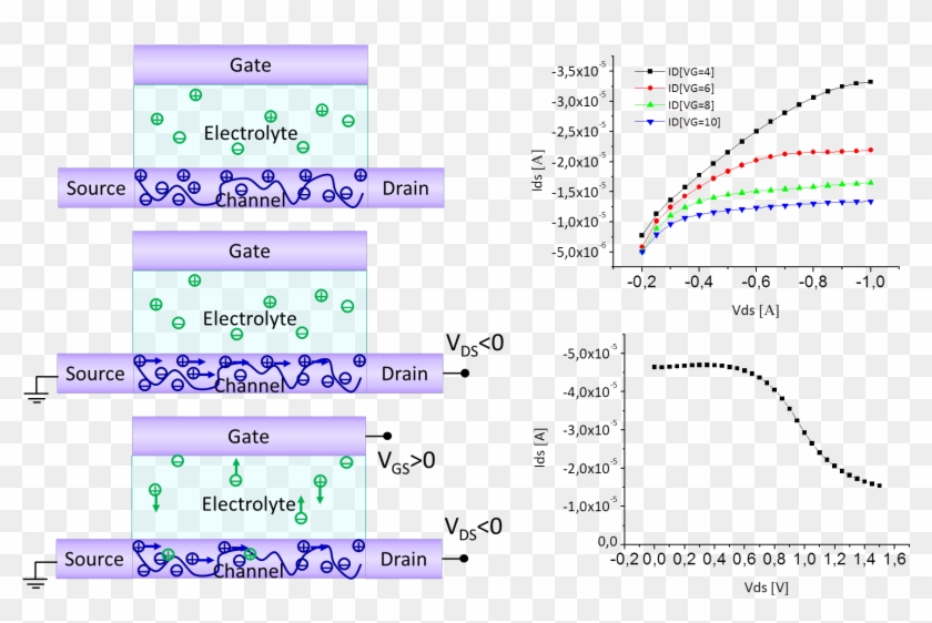 Oects - Organic Electrochemical Transistors Clipart