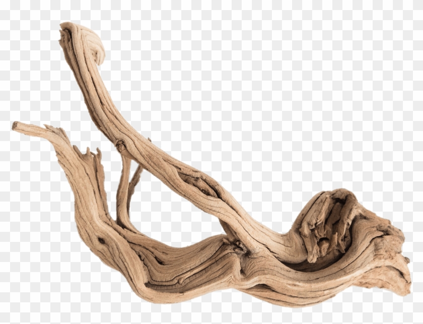 Nature - Driftwood Png Clipart #5353677