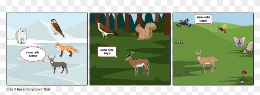 Taiga Tundra E Steppa - Illustration Clipart #5353821