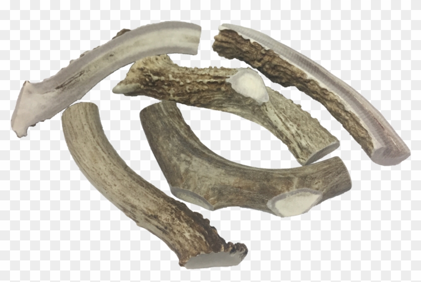 Deer Half Split 6" From Rawdelivery Natural Pet Food Clipart