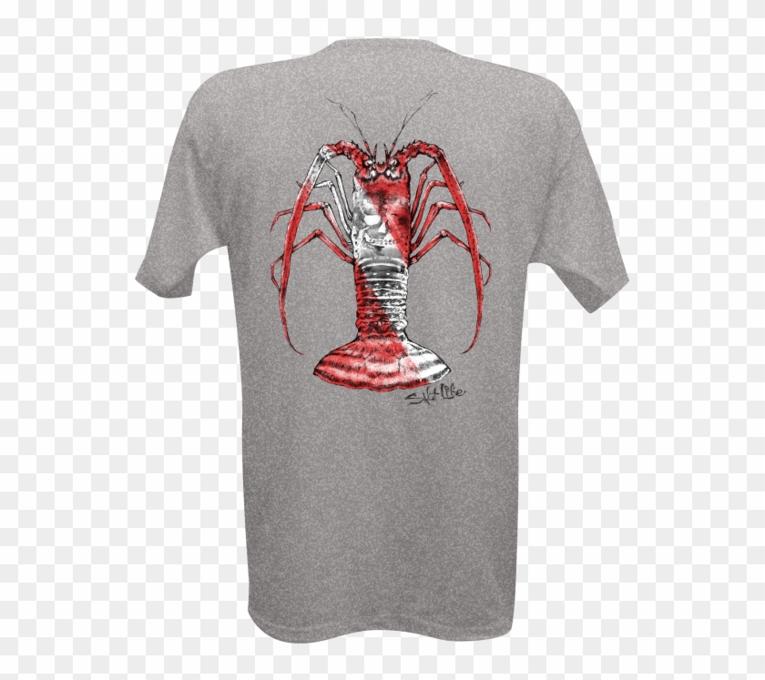 Image - Spiny Lobster Clipart #5355774