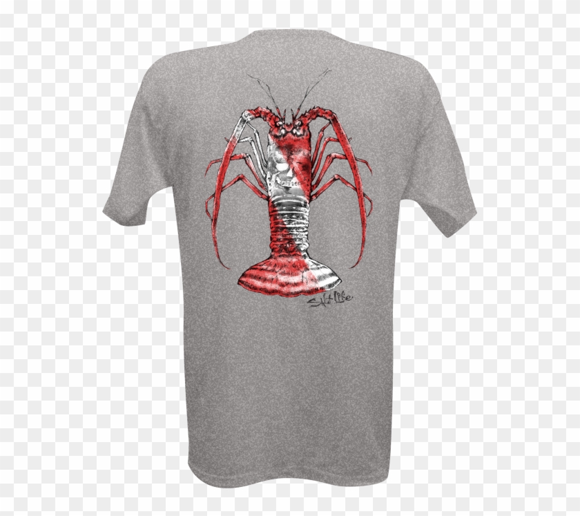 Image - Spiny Lobster Clipart
