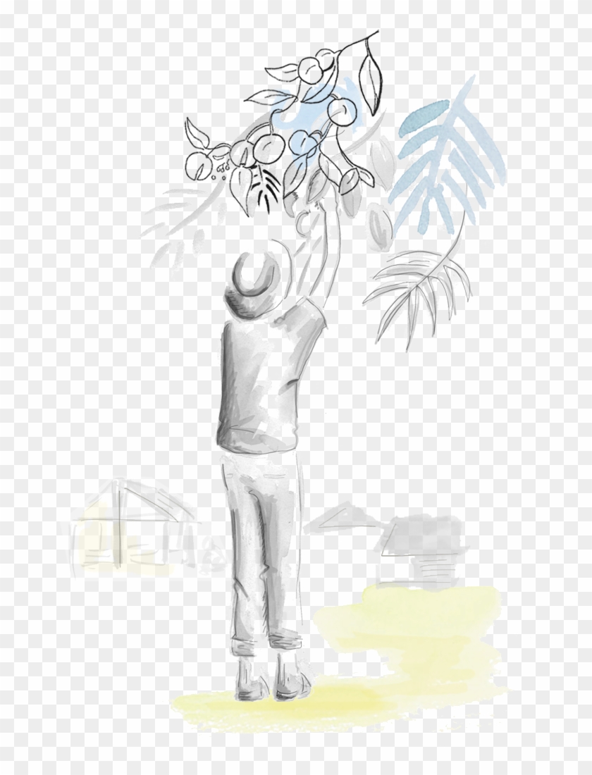 Cueillette@2x - Illustration Clipart #5357293