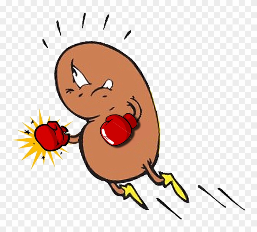 Kidney Cartoons Clipart