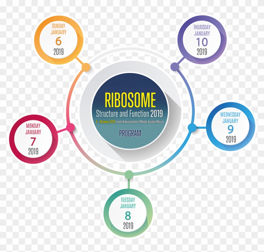 Programa Web Mesa De Trabajo 1 - Circle Clipart