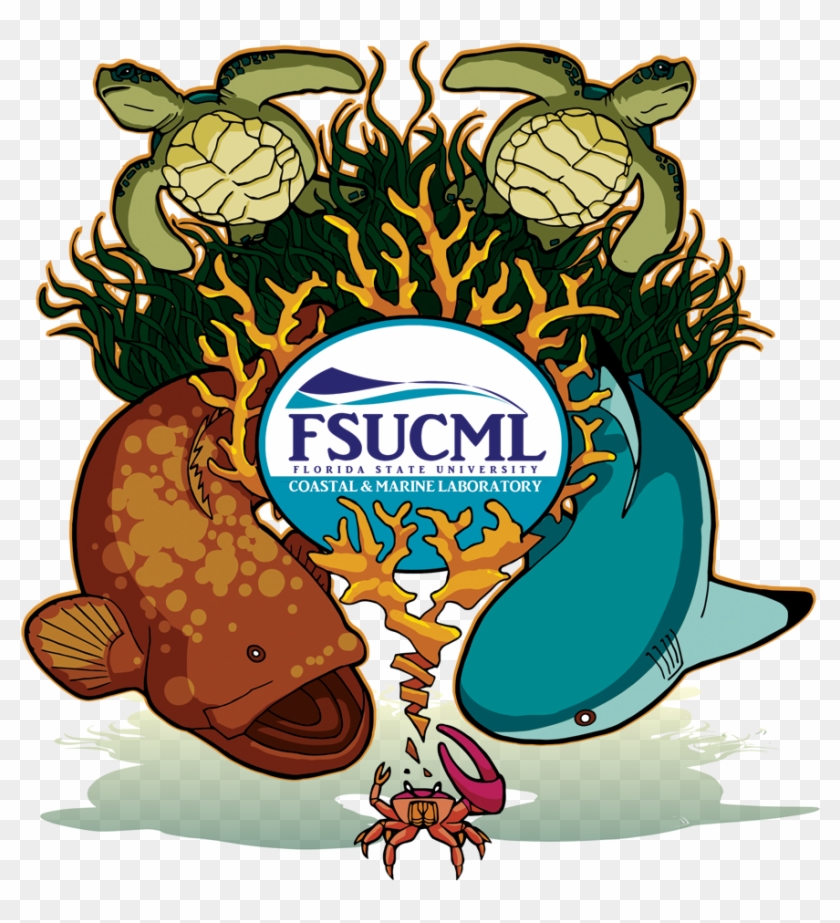The Fsu Coastal & Marine Laboratory Will Hold Its Next - Fsu Coastal And Marine Lab Clipart #5358837