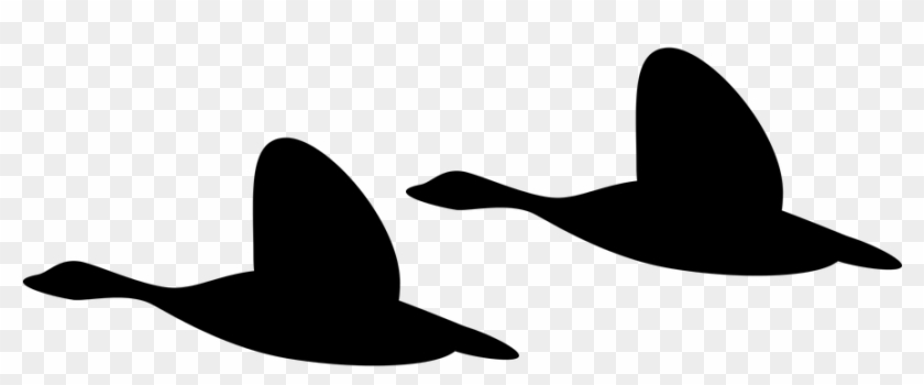 The Relationship Journey - Duck Clipart #5359046