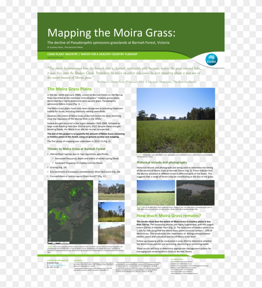 Pdf - Brochure Clipart