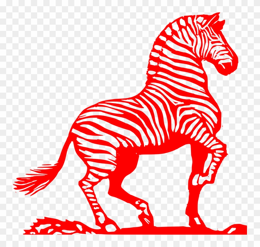 Zebra Fighting Threatening Stripes Red Power - Zebra Black And White Clipart - Png Download